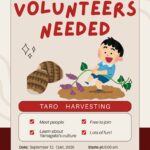 里芋掘りボランティア・ごみ拾いボランティア　参加者募集！ (Volunteers Needed: Taro Harvesting, Yamagata Firework Festival Clean-up)